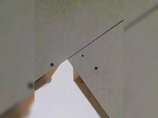 Preview of s-o-f-i-a