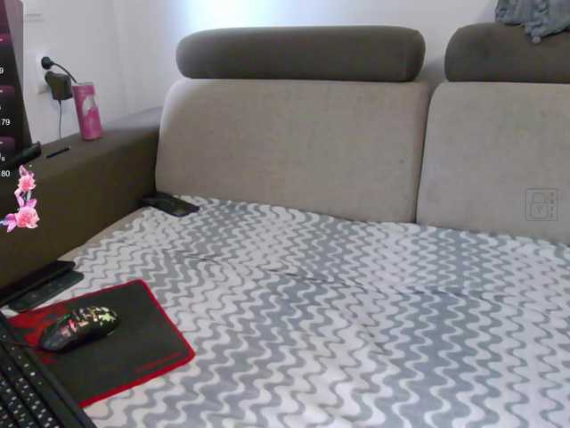 Preview of s-o-f-i-a