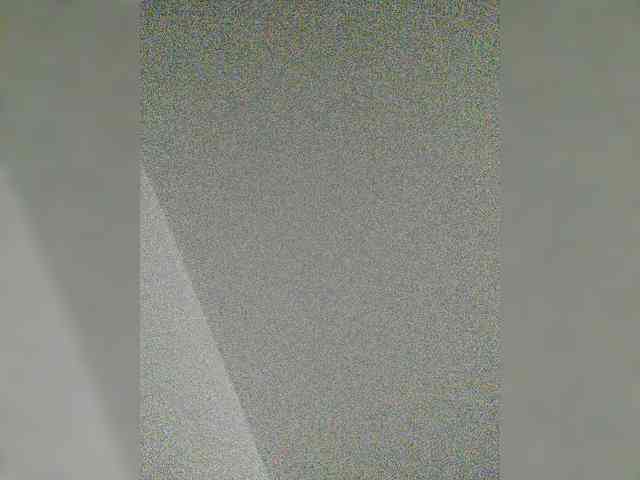 S-O-F-I-A webcam
