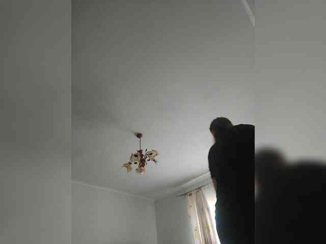 S-O-F-I-A webcam