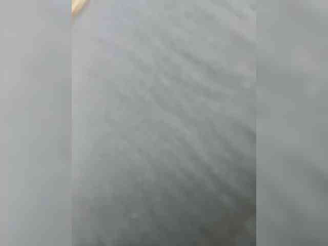 S-O-F-I-A webcam