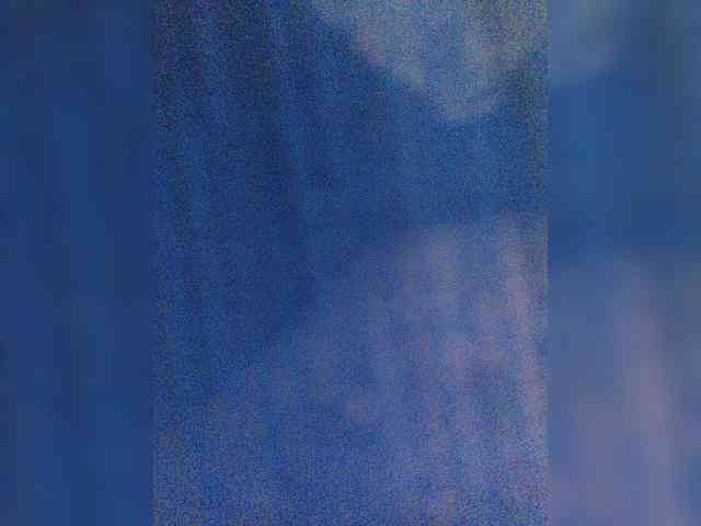 S-O-F-I-A webcam