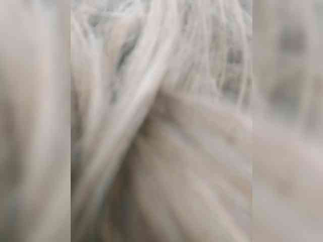 S-O-F-I-A webcam