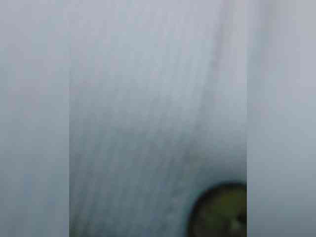 S-O-F-I-A webcam
