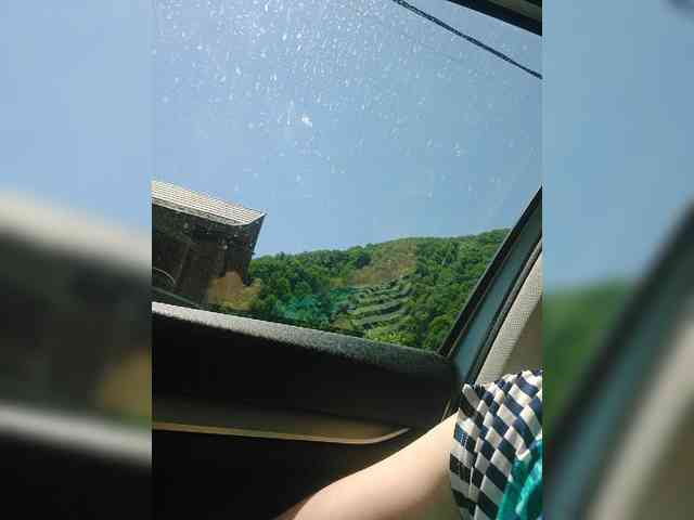 S-O-F-I-A