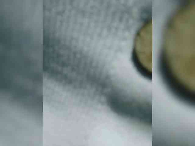 S-O-F-I-A webcam