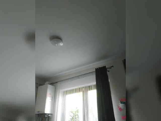 S-O-F-I-A webcam