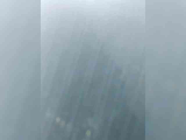 S-O-F-I-A webcam