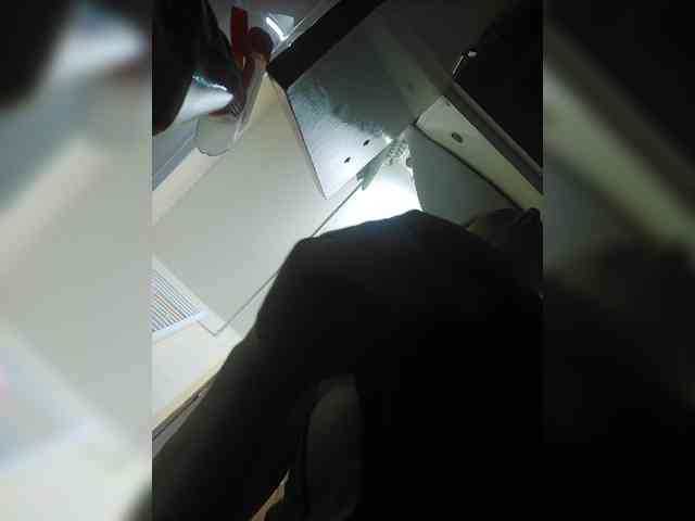 S-O-F-I-A webcam