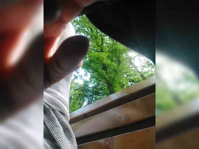 S-O-F-I-A webcam