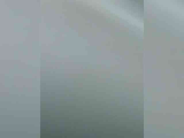 S-O-F-I-A webcam
