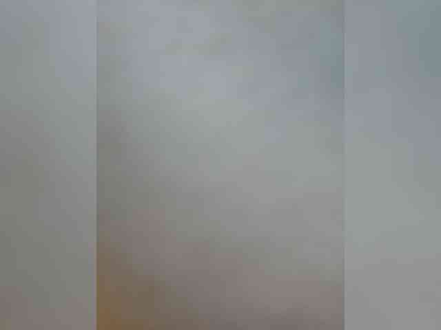 S-O-F-I-A webcam