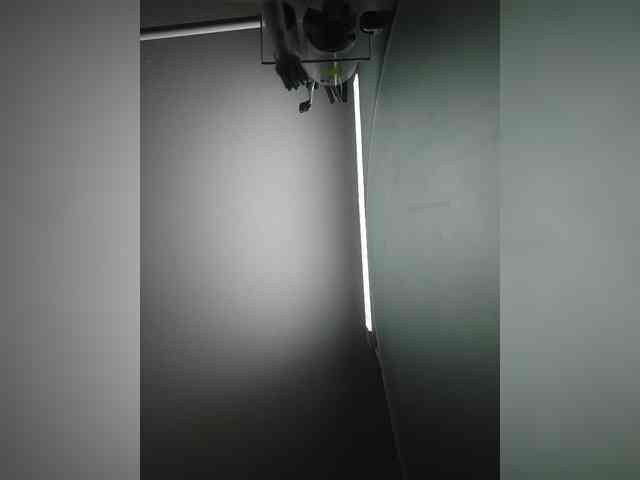 S-O-F-I-A webcam