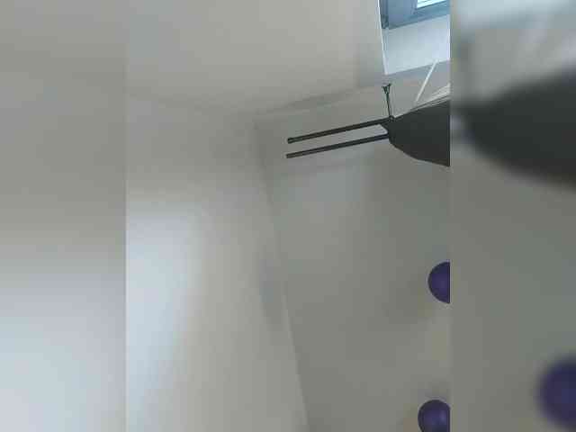 S-O-F-I-A webcam