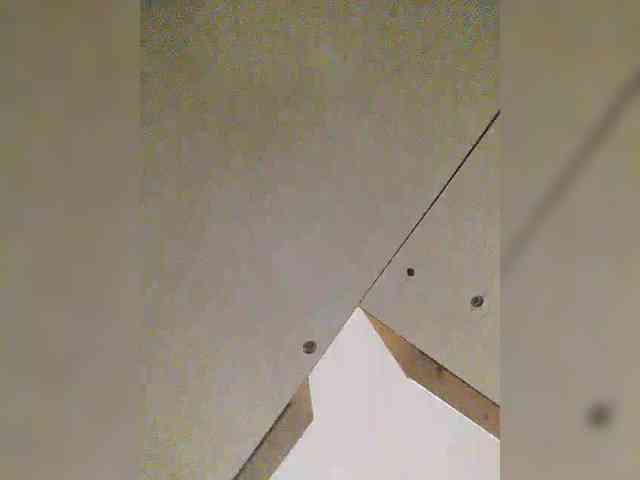 S-O-F-I-A webcam