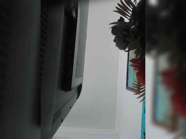 S-O-F-I-A webcam
