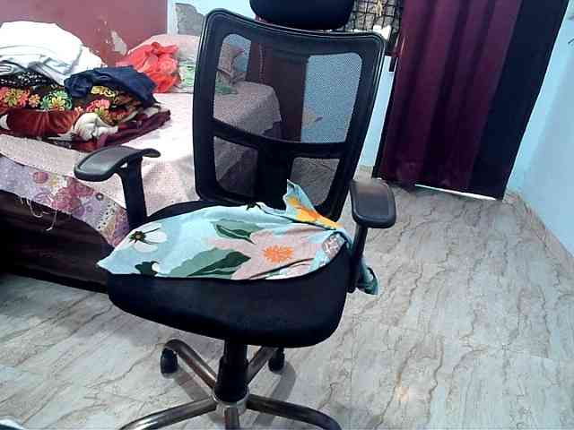 Payalx webcam
