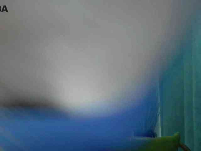 Lolakisss webcam