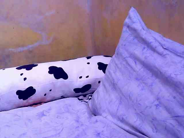 SweetMonlight webcam