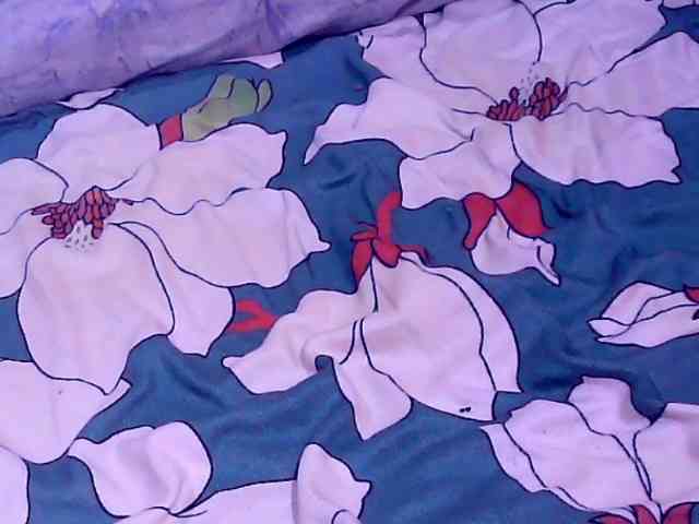 SweetMonlight webcam