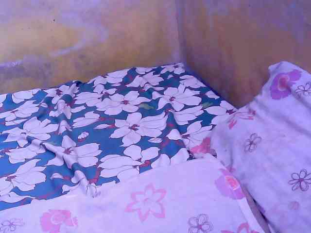 SweetMonlight webcam