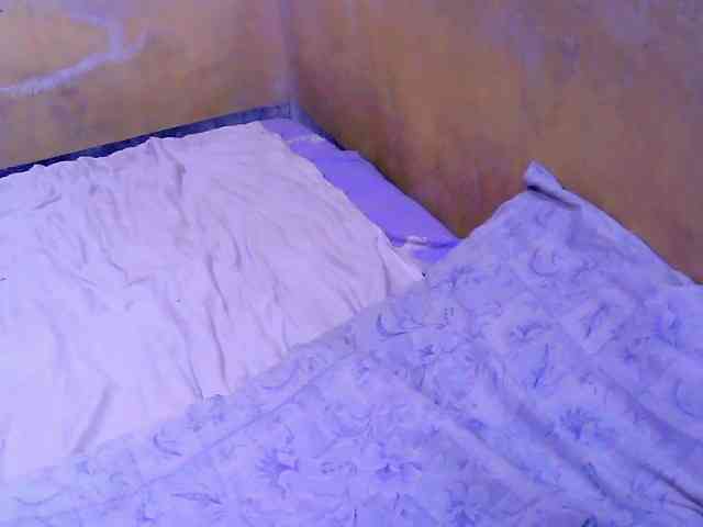 SweetMonlight webcam