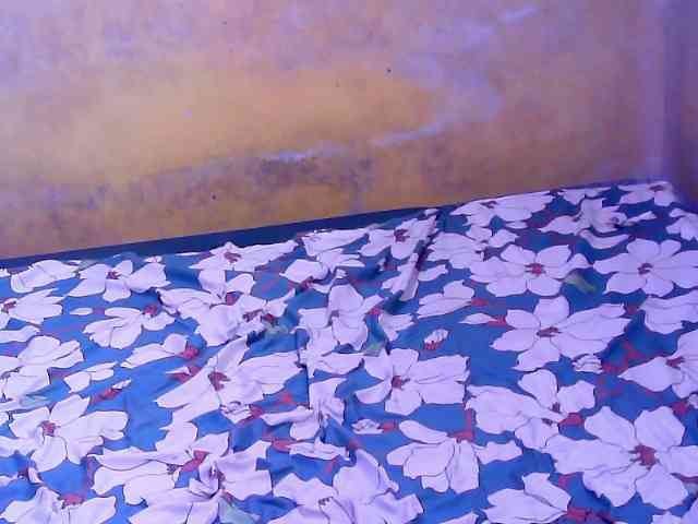 SweetMonlight webcam