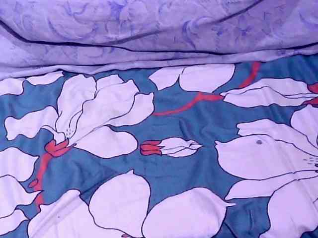 SweetMonlight webcam
