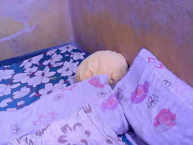 SweetMonlight webcam