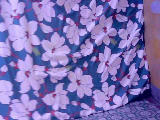 SweetMonlight webcam