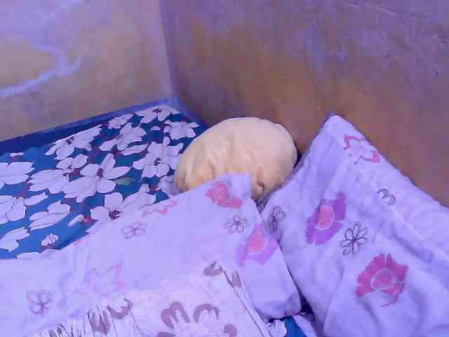 SweetMonlight webcam