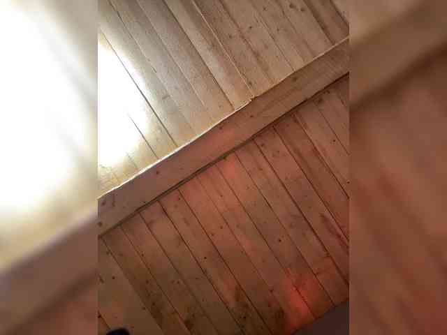 Sonyya- webcam