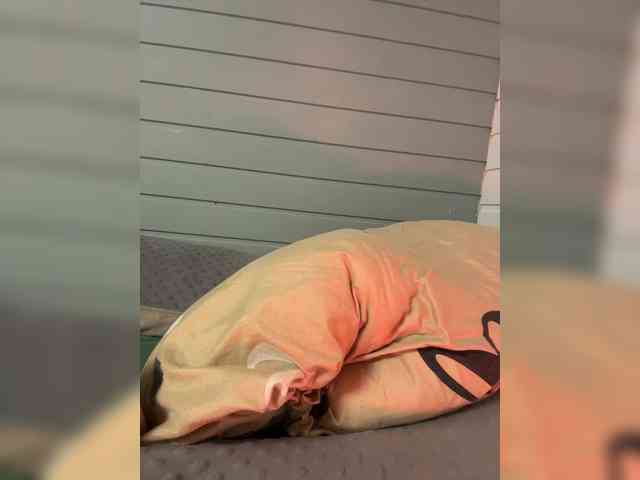 Sonyya- webcam