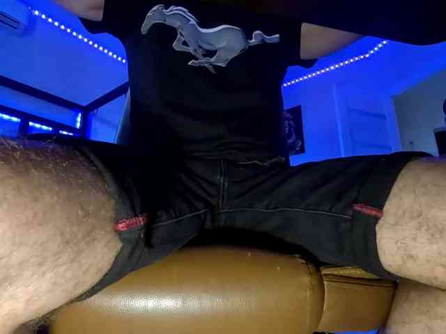 Mustang_333