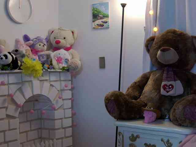 ronnielotch webcam