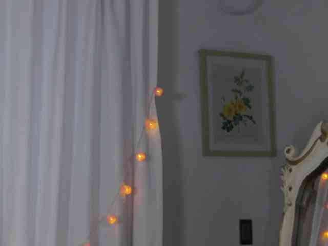 ronnielotch webcam