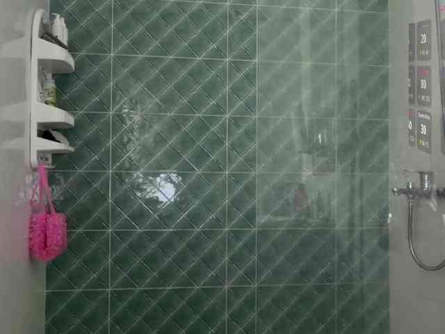 Silechka webcam