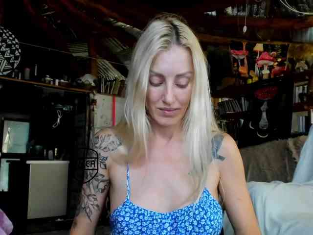 StreKoza webcam
