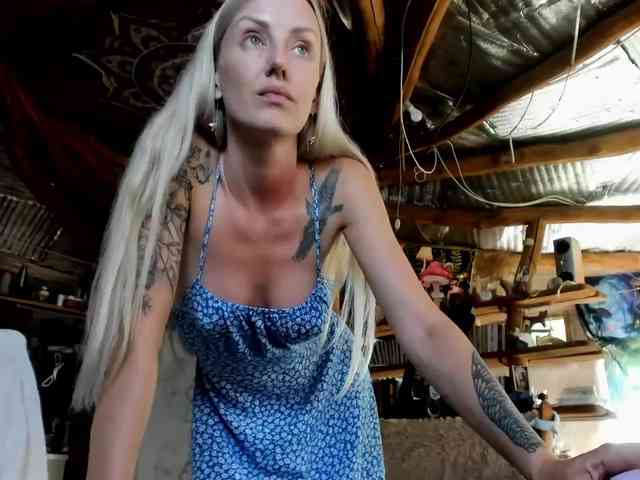 StreKoza webcam
