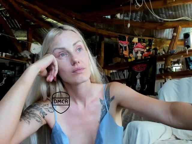 StreKoza webcam