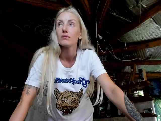 StreKoza webcam
