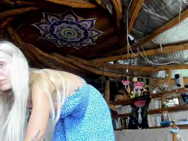 StreKoza webcam