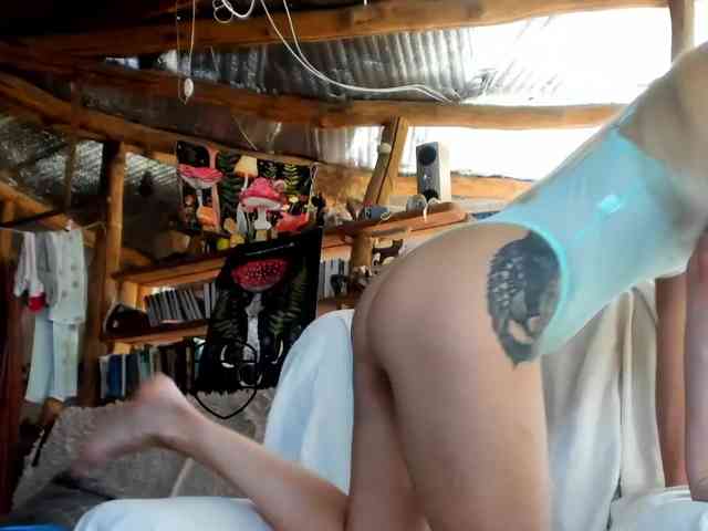 StreKoza webcam