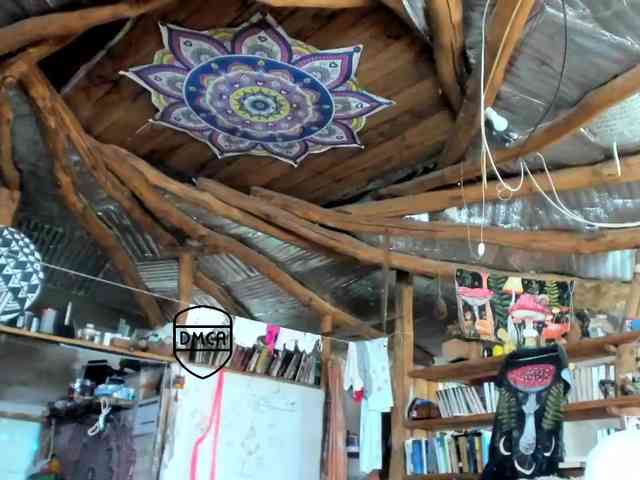 StreKoza webcam