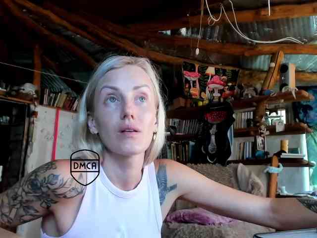 StreKoza webcam