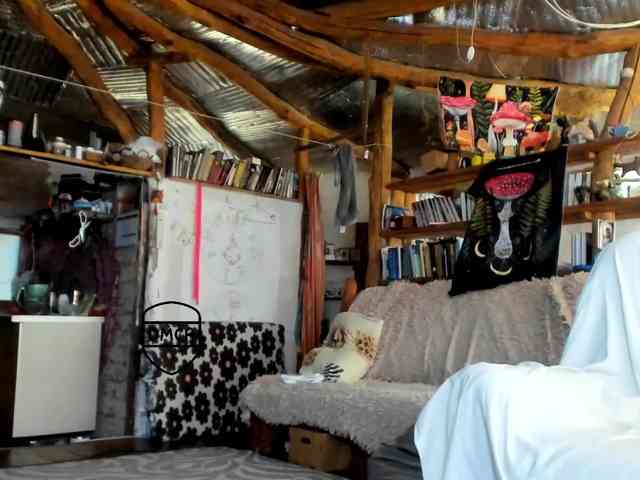StreKoza webcam