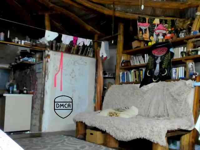 StreKoza webcam