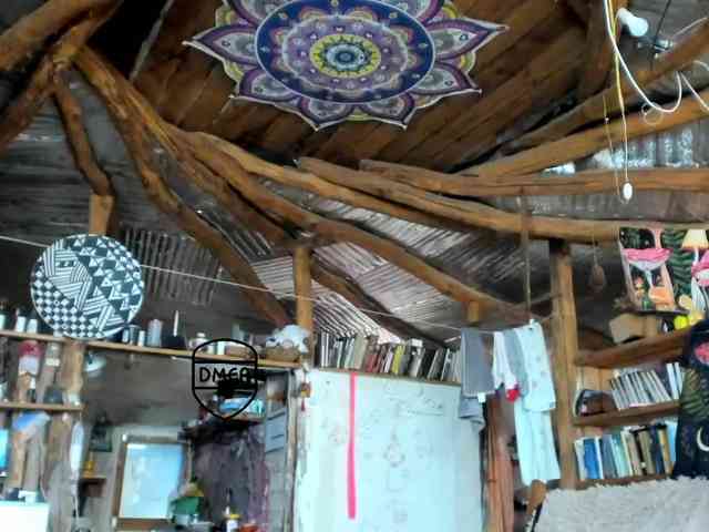 StreKoza webcam