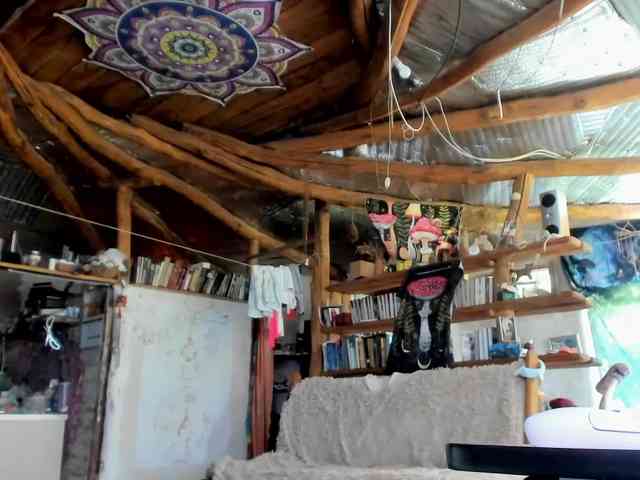 StreKoza webcam