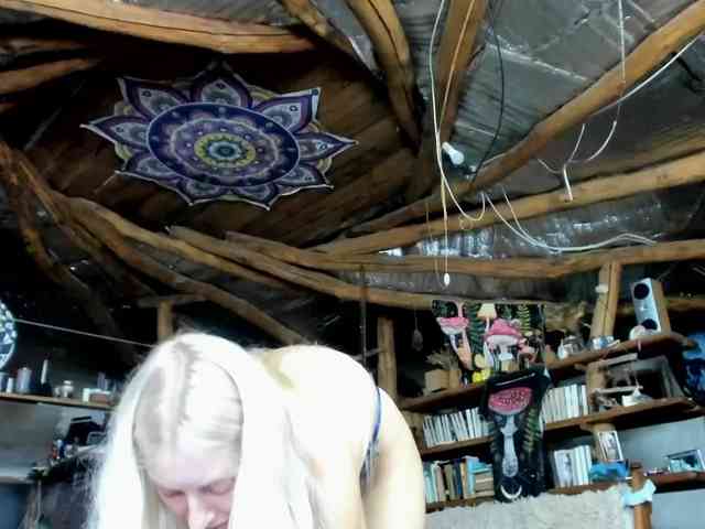StreKoza webcam